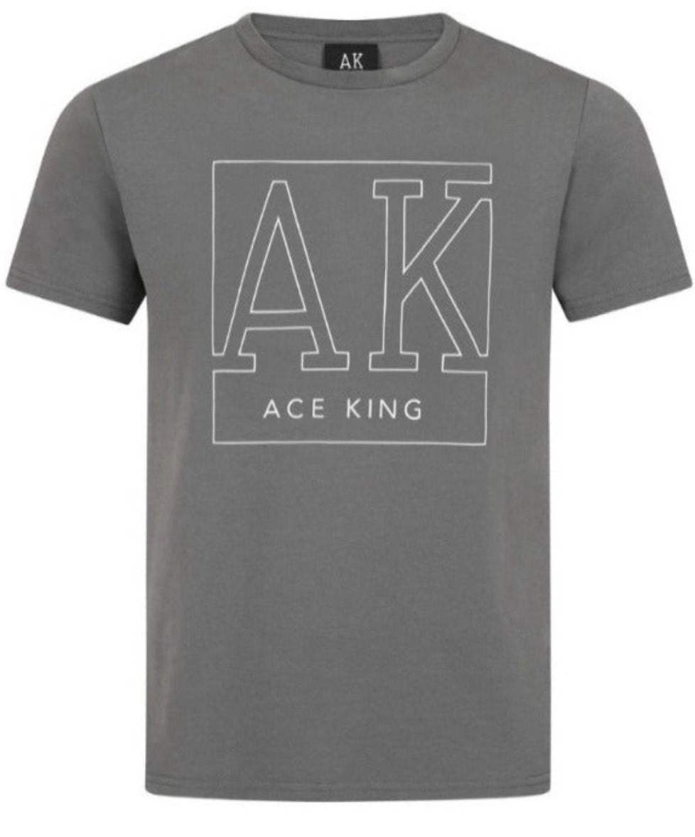 Graphic Premium Fitted T-shirt – Grey